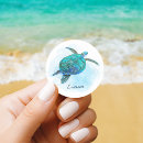 Search for tropical turtle stickers Ocean