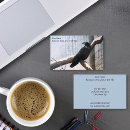 Search for raven business cards Nature