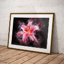 Search for stargazer lily posters Pink