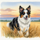 Search for chamomile cards Summer