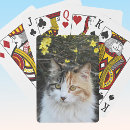 Search for kitty playing cards Animals