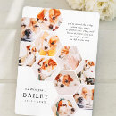 Search for baby memorial cards Funeral