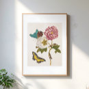 Search for flower illustration posters Plants