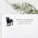 Search for black labrador return address labels Animal