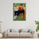 Search for cute pandas posters Fire fox