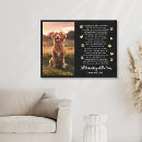 Search for pet supplies Sentimental
