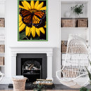 Search for monarch butterfly posters Butterflies
