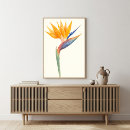 Search for bird of paradise art Floral design