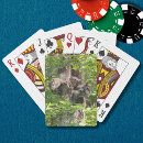 Search for funny squirrel playing cards Forest
