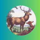 Search for antelope stickers Wildlife