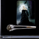 Search for gothic magnets Ravens
