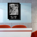 Search for funny australian posters Koala bear