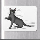 Search for diagram magnets White