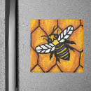 Search for buzzing magnets Insect