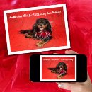 Search for boa cards Pet