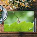 Search for butterfly placemats Fun