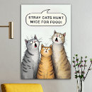 Search for stray posters Funny