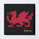 Search for red magnets Wales