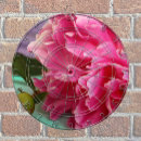 Search for unique dartboards Photography