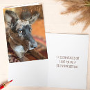 Search for cattle dog birthday cards Cute