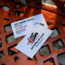 Search for trash removal business cards Junk removal services