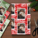Search for green and white wrapping paper Chic