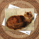 Search for cushion postcards Victorian