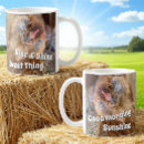 Search for tilted mugs Nature