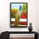Search for blue peacock bird posters Photography