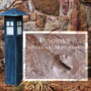 Search for dinosaur lover postcards Dinosaurs