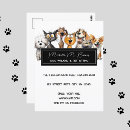 Search for sitter postcards Animal care