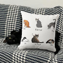 Search for cat sitting cushions Funny