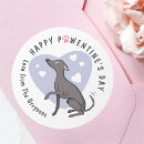 Search for greyhound dog stickers Iggy