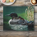 Search for loon puzzles Nature