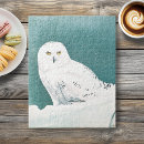Search for snowy owl puzzles Arctic