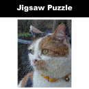 Search for calico cats puzzles Pets