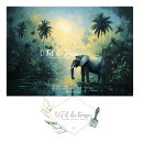 Search for elephant tissue paper Giraffe