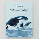 Search for orca killer whale cards Dolphin
