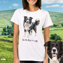 Search for collie tshirts Sheepdog