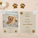 Search for dog rainbow bridge key rings Forever in our hearts