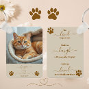 Search for cat quotes key rings Rainbow bridge