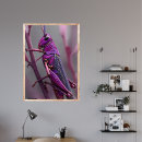 Search for grasshopper posters Insects