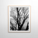 Search for dramatic photography Dark