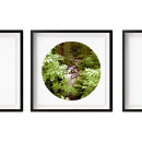 Search for stream posters Nature