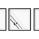 Search for hawk paintings posters Nature