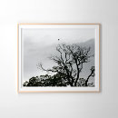 Search for windswept posters Trees