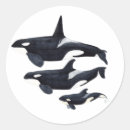 Search for target stickers Black