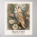 Search for barn owl posters Bird