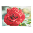 Search for red rose pillowcases Garden