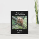 Search for nutty cards Friend